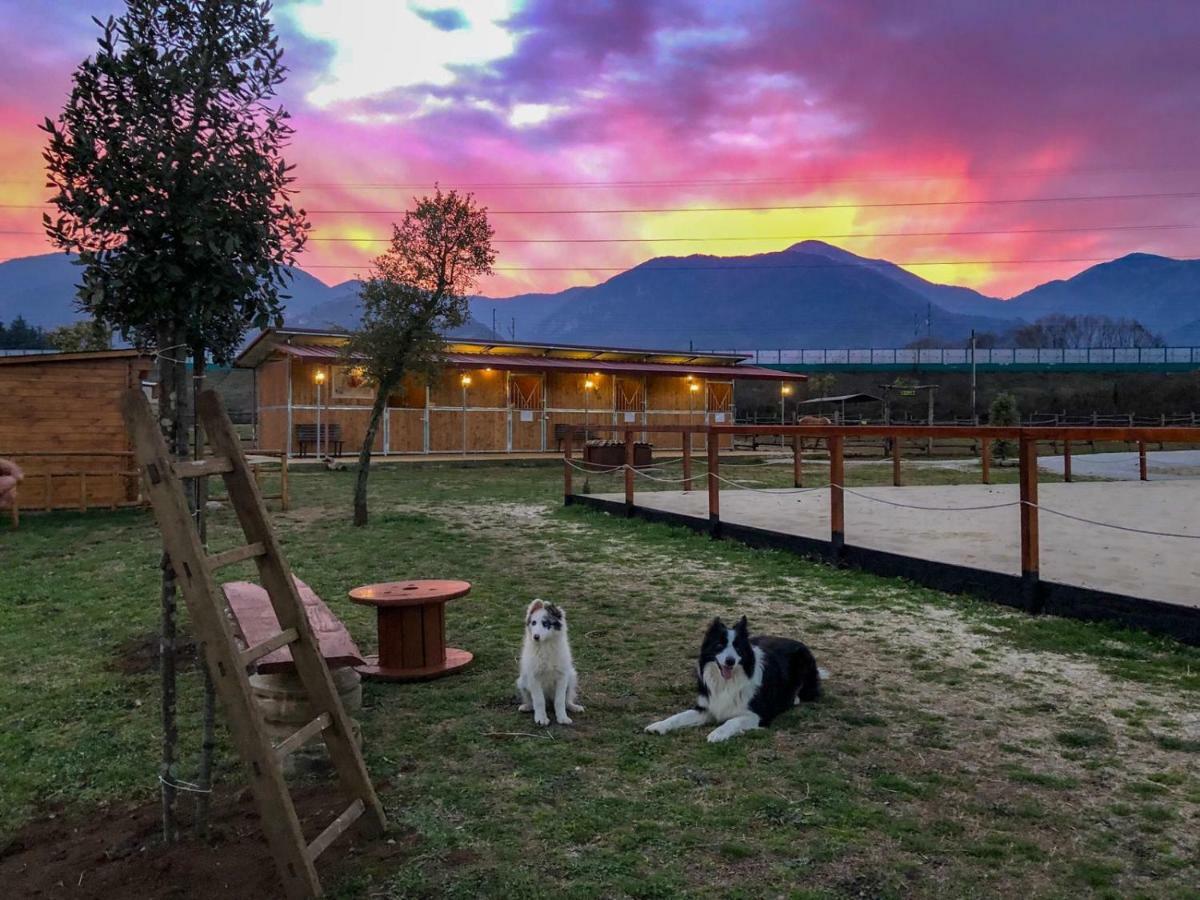 La Tenuta Del Campo Di Sopra Patrica Extérieur photo